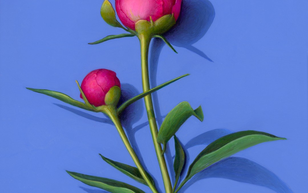 Double Peony