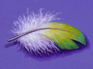 Feather