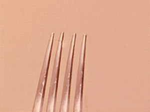 Fork Tip