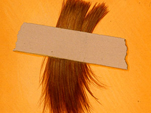 Hair