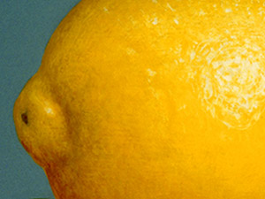 Lemon2