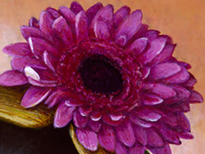 Purple Flower